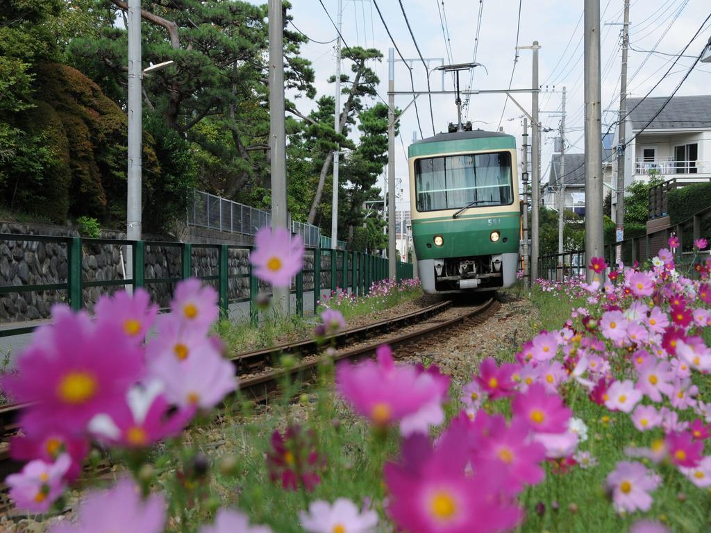 Sotetsu Fresa Inn Fujisawa Shonandai Exterior foto